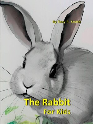cover image of The Rabbit for Kids
